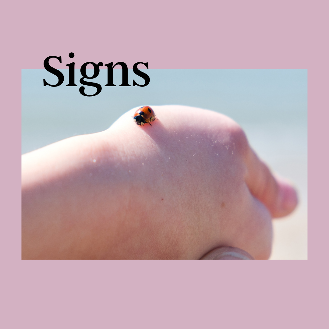 Recognizing Signs From The Universe