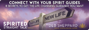Deb Sheppard Podcast